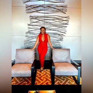 Dangerously in Love Jumpsuit ❤️